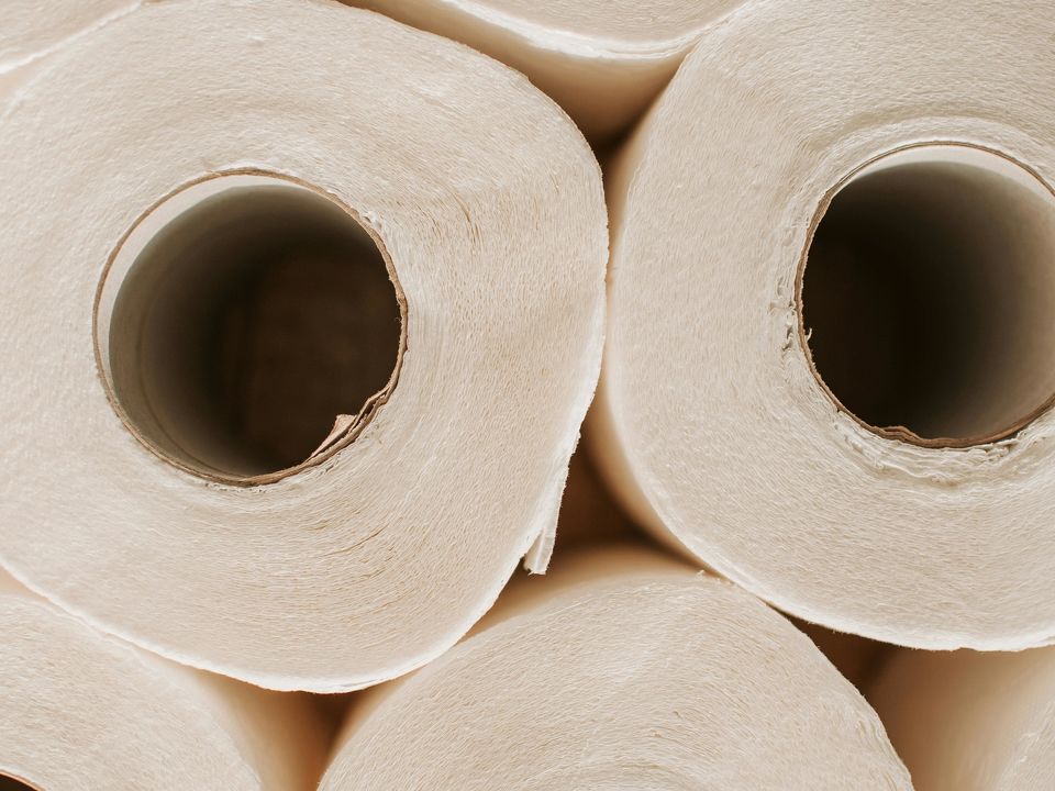 Paper Towels & Compostables